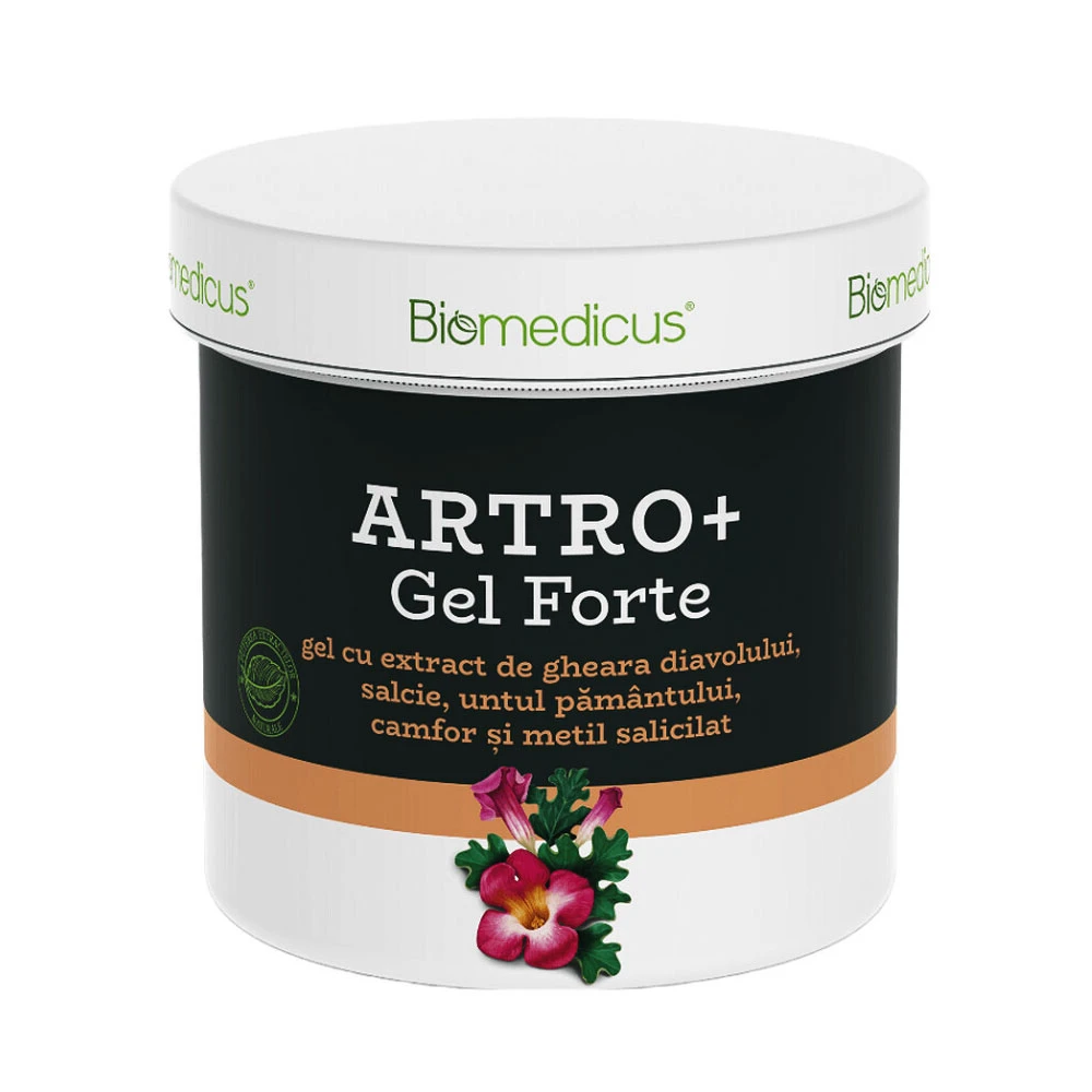 Gel Biomedicus Masaj Terapeutic Artro Forte 250ml