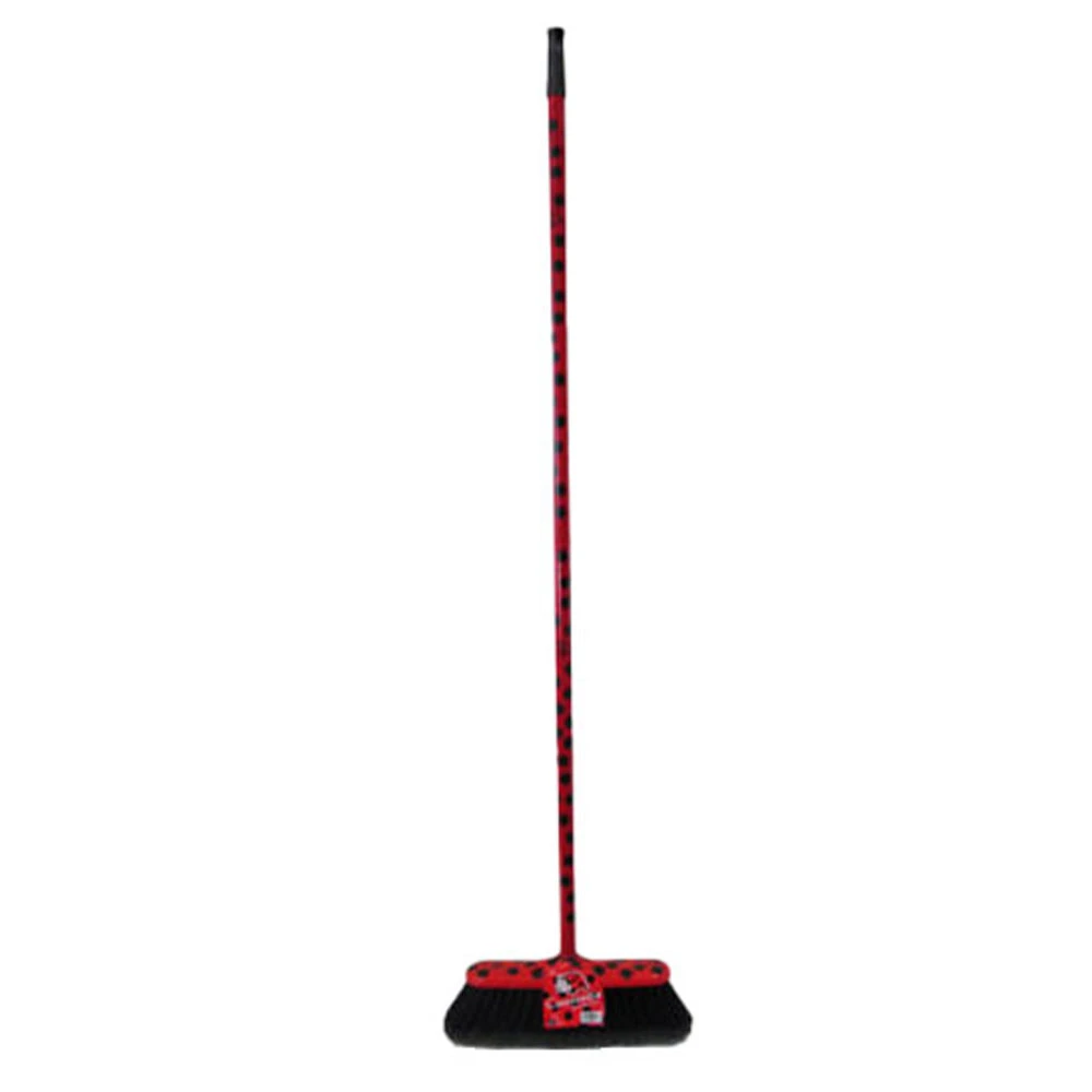 Matura cu Coada Coccinella 1/2 m