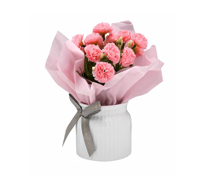 Flori Artificiale Garofita In Ghiveci Pvc A-80951 Wei
