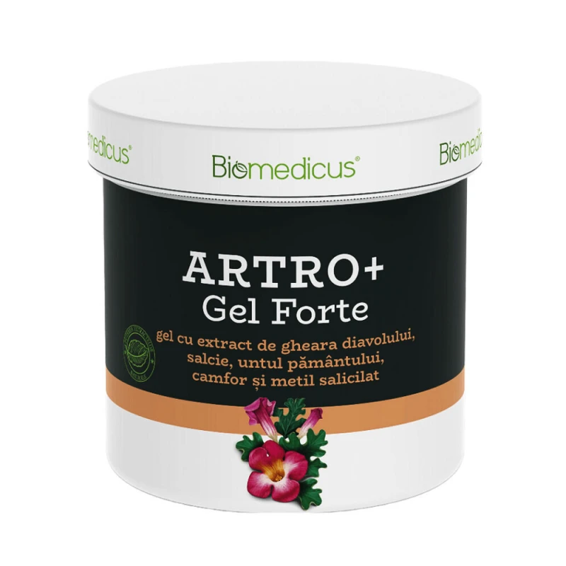 Gel Biomedicus Masaj Terapeutic Artro Forte 250ml